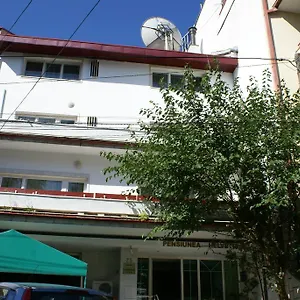 https://pensiunea-helvetia.bucharesthotelsnow.com